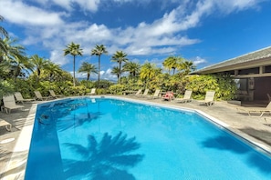 A swimming pool with lounge chairs and palm trees.