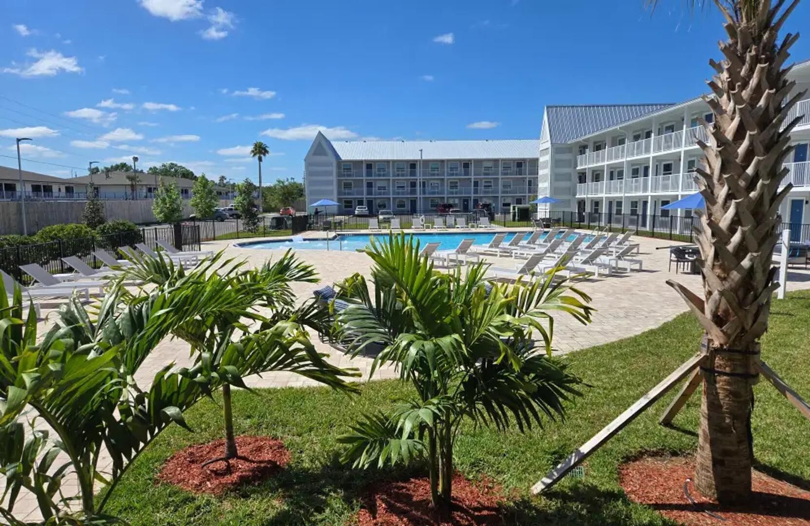A hotel with a swimming pool, lounge chairs, and palm trees.