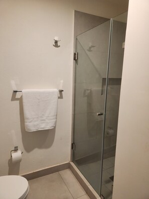 Shower, towels, soap, toilet paper - Amazing Apartment! Location + Comfort + Style (pets friendly) (Puerto Vallarta)