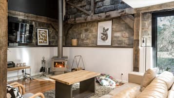 TV, fireplace, books