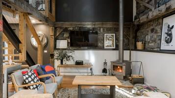 TV, fireplace, books