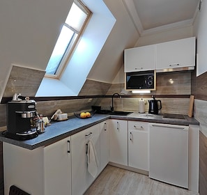 Fridge, microwave, stovetop, coffee/tea maker - Willa u Bachledów Studio #6 (Zakopane)