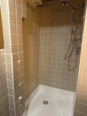 Shower, towels, toilet paper
