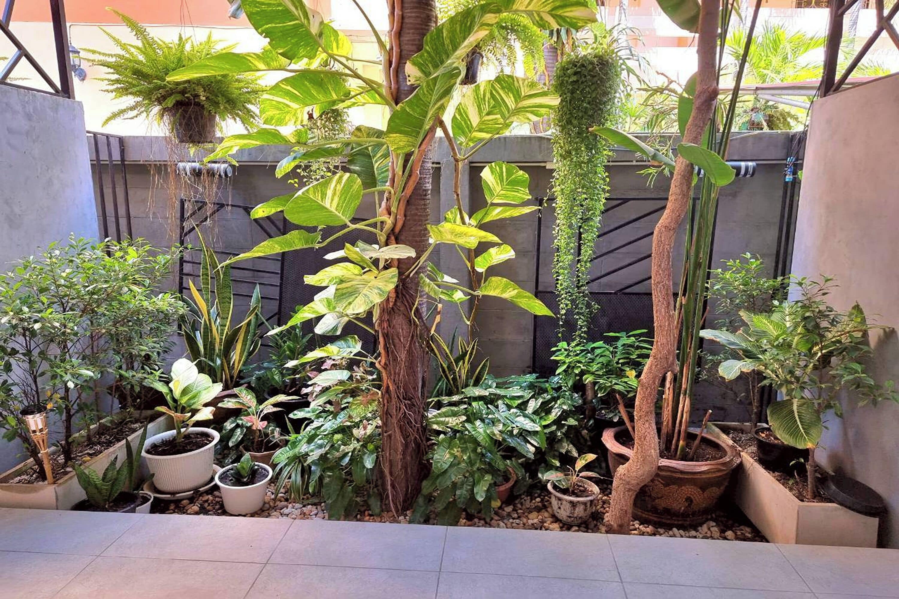 Kahden hengen deluxe-huone, näköala puutarhaan | Näkymä puutarhaan