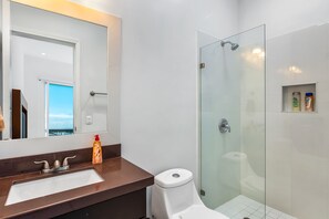 Shower, hair dryer, towels - Fantastic dog-friendly home with heated pool, hot tub, partial ocean view, patio (Rosarito)