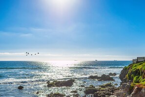 Beach - Dog-friendly suite with kitchenette, heated outdoor pool, hot tub, private patio (Rosarito)