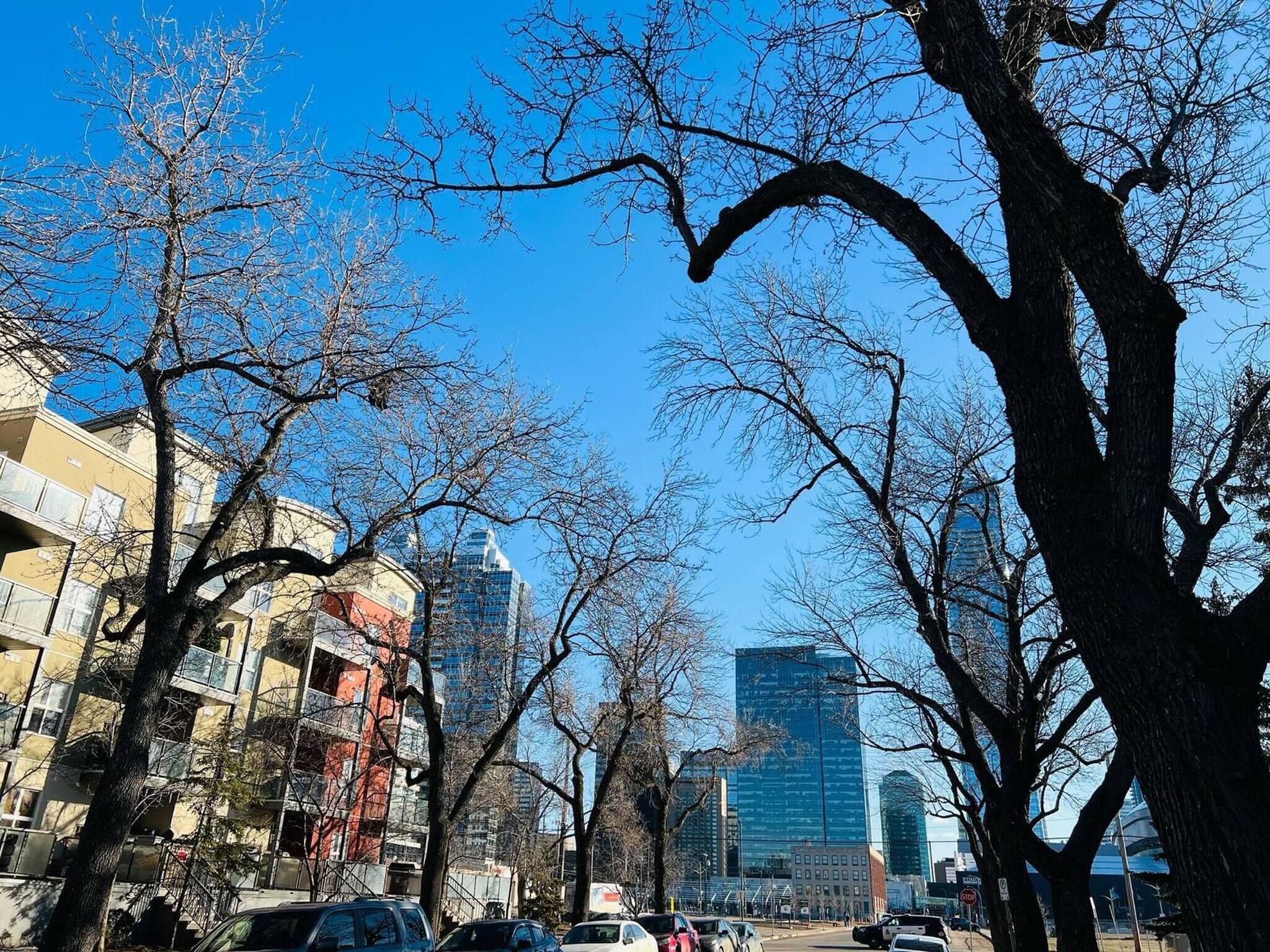 Căn hộ, 2 phòng ngủ, phù hợp cho người khuyết tật, lò sưởi | Bãi đậu xe