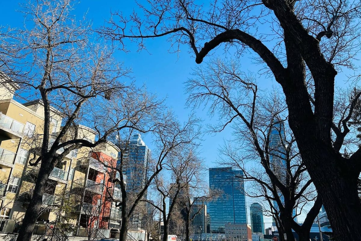 Căn hộ, 2 phòng ngủ, phù hợp cho người khuyết tật, lò sưởi | Bãi đậu xe