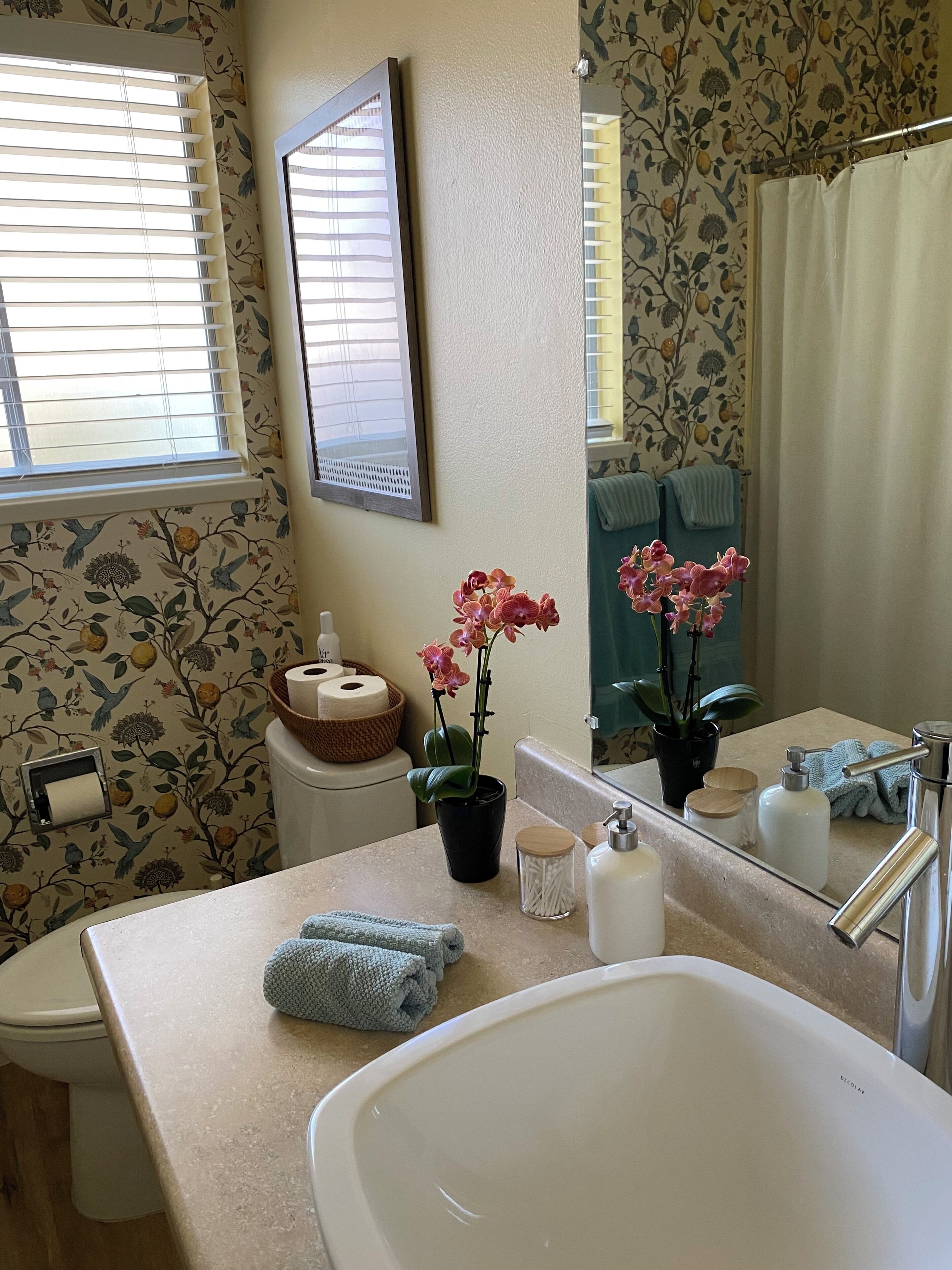 Hair dryer, towels, soap, toilet paper