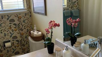 Hair dryer, towels, soap, toilet paper