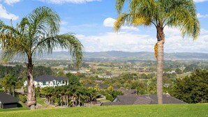 A residential area with houses, palm trees, and a view of distant hills.