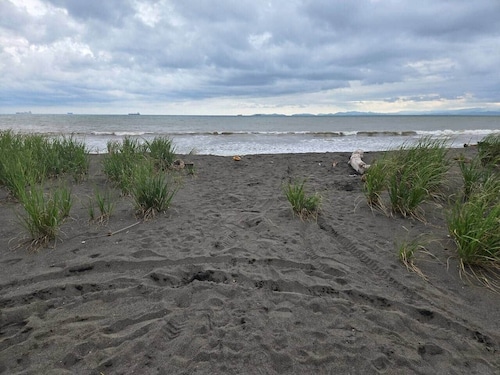 Beachfront Luxury Yurt Glamping Escape