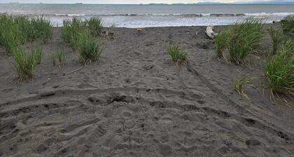 Beachfront Luxury Yurt Glamping Escape