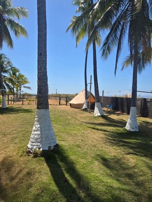 Property grounds - Beachfront Luxury Yurt Glamping Escape (Barranca)