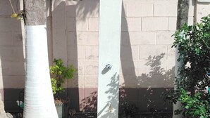 Un piló de formigó amb un forat de drenatge circular, envoltat de palmeres i una paret de maó.