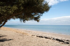 A beach with a tree, sandy shore, and calm sea.