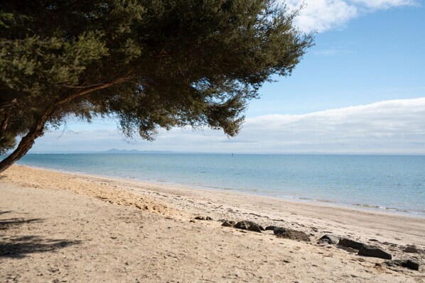 A beach with a tree, sandy shore, and calm sea.