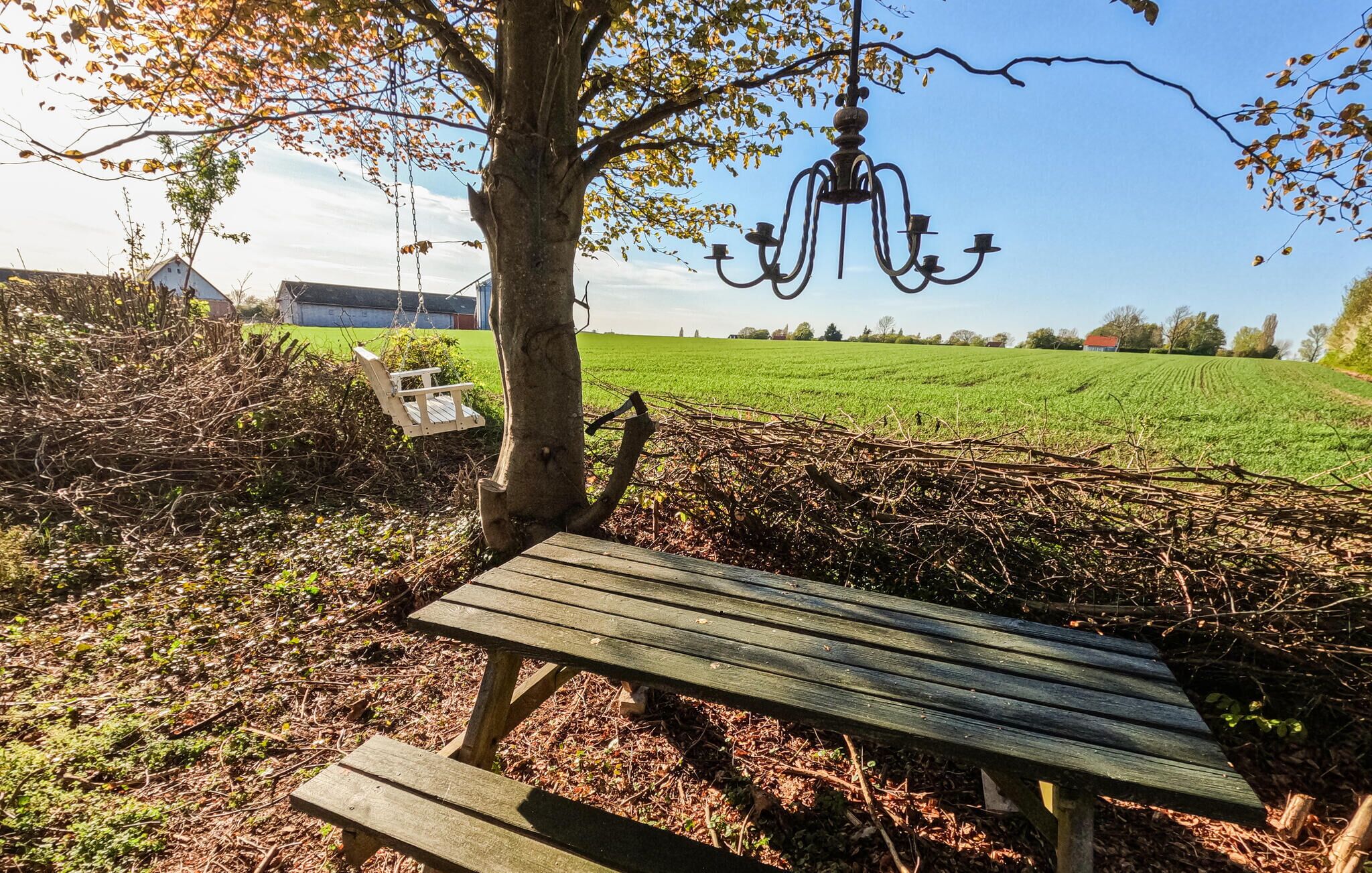 Eine Holzbank unter einem Baum mit einer hängenden Leuchte, ein grünes Feld im Hintergrund und ein Gebäude mit rotem Dach.