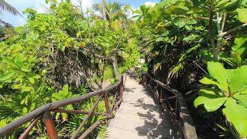 Terrein van de accommodatie