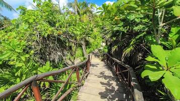 Terrein van de accommodatie