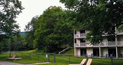 Four Season Condo: ski, hike, golf & seasonal pool