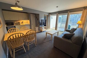 Living area - Four Season Condo: seasonal pool, ski, hike & golf (Warren)