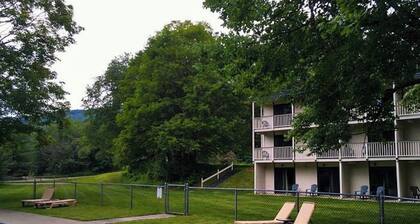 Four Season Condo: seasonal pool, ski, hike & golf