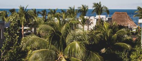A coastal view with palm trees, a thatched-roof building, and a clear blue sky.