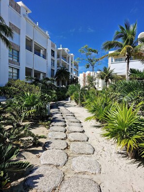A pathway lined with palm trees leading to a modern building with multiple balconies. - Beautiful PH in Front of the Marina (Punta Sam)