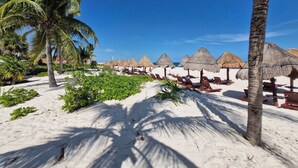 A beach with palm trees, thatched umbrellas, and sun loungers. - Beautiful PH in Front of the Marina (Punta Sam)