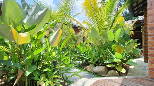 Un jardín con diversas plantas tropicales, un muro de ladrillo y una terraza de madera.
