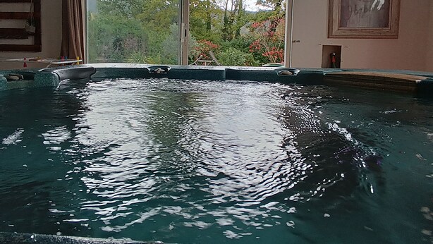 Ein Schwimmbad mit Blick auf Bäume und einer Tür.
