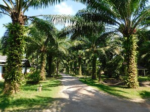 Miscellaneous - 057 resort (Mai-fat Sikao)