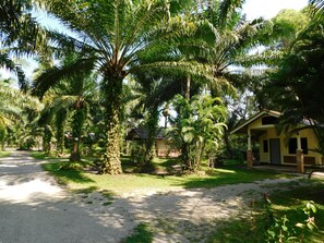 Property grounds - 057 resort (Sikao)