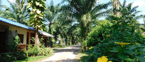 Jardines del alojamiento