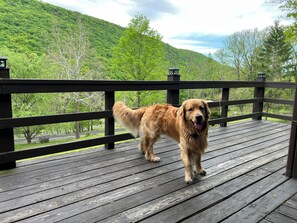 Property grounds - Mountain Magic Cabin, Moutan View/Private/3BR/2Bath/Pets Friendly. (Cabins)