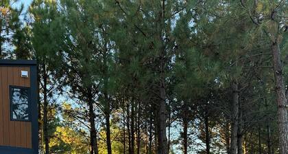 The Nest at Novena Pines by Tiny Away