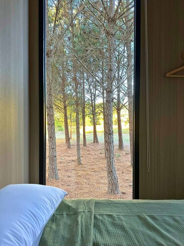 Novena Pines by Tiny Away