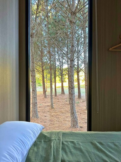 Novena Pines by Tiny Away