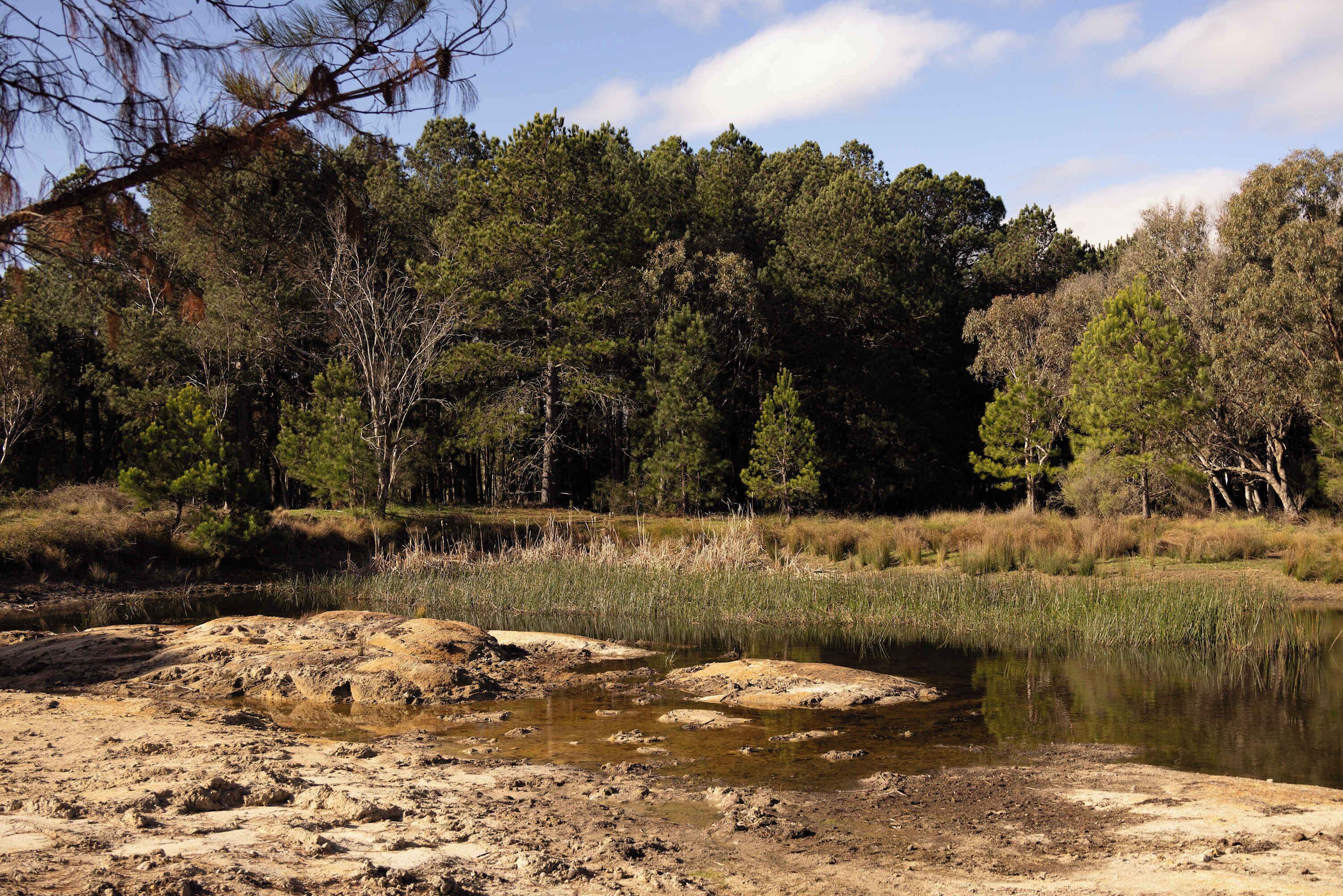Un paysage naturel comprenant une étendue d’eau, des arbres et une zone sablonneuse.