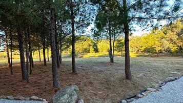 Terrain de l’hébergement