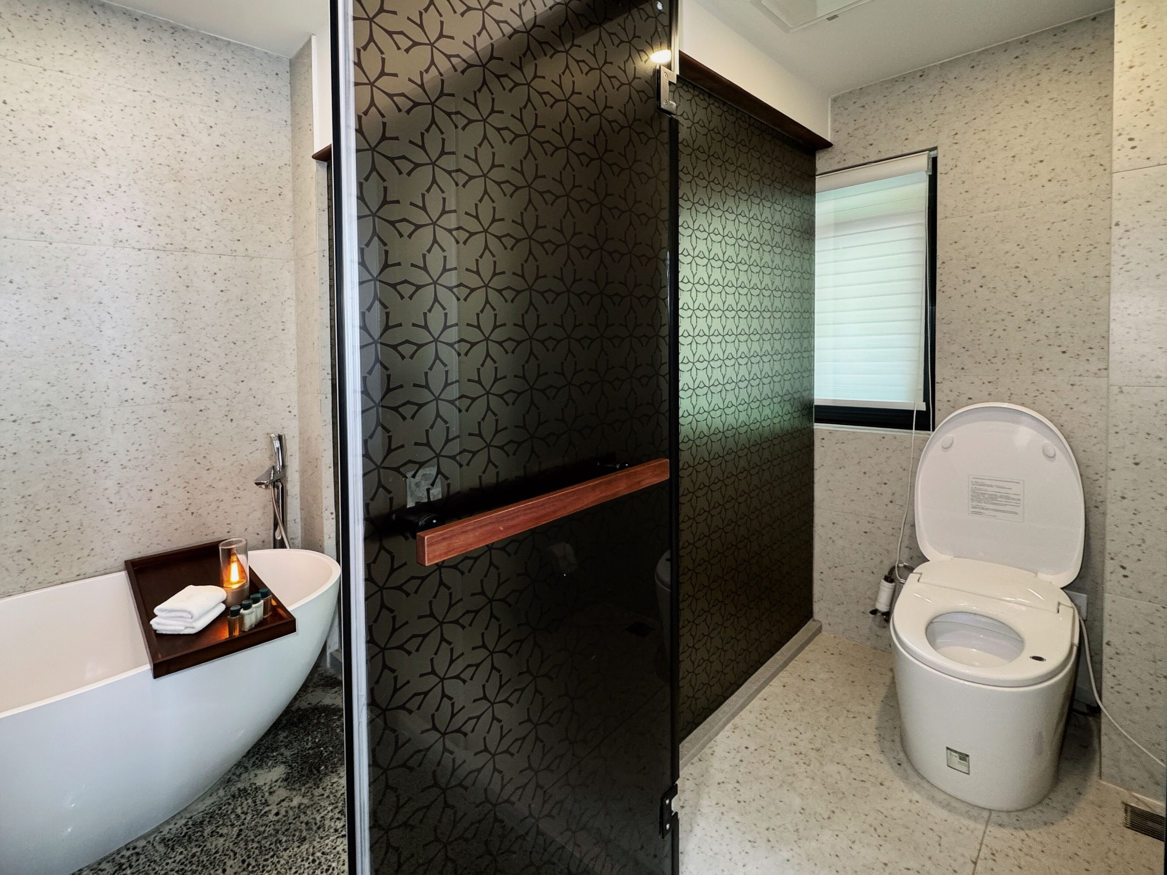 Een moderne badkamer met een vrijstaand bad, een douche met glazen wanden en een toilet.