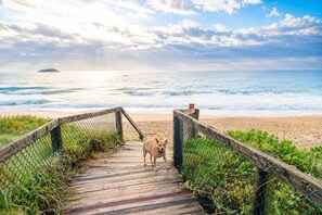 A wooden boardwalk leading to a beach with a dog on it.