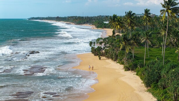 Una playa con palmeras y olas del océano.