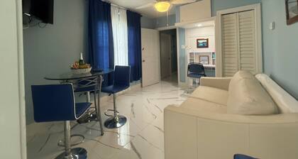 Lovely 2-bedroom house with AC in charming Tampa