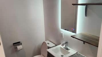Hair dryer, towels, soap, toilet paper