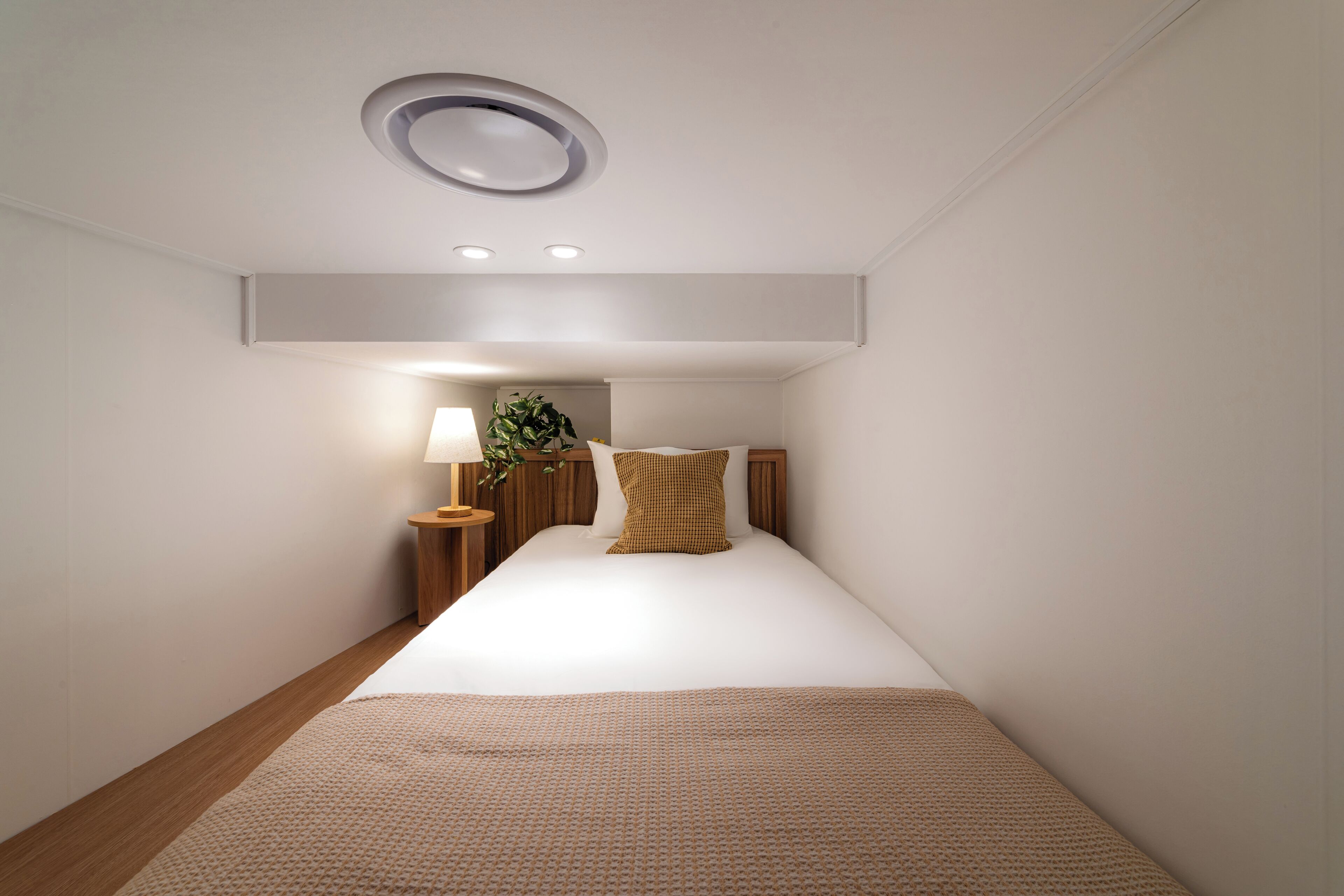 A bedroom with a bed, a bedside table with a lamp, a plant, and a ceiling light fixture.