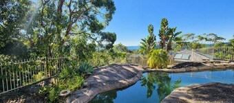 Resort Style Rock Pool Oasis