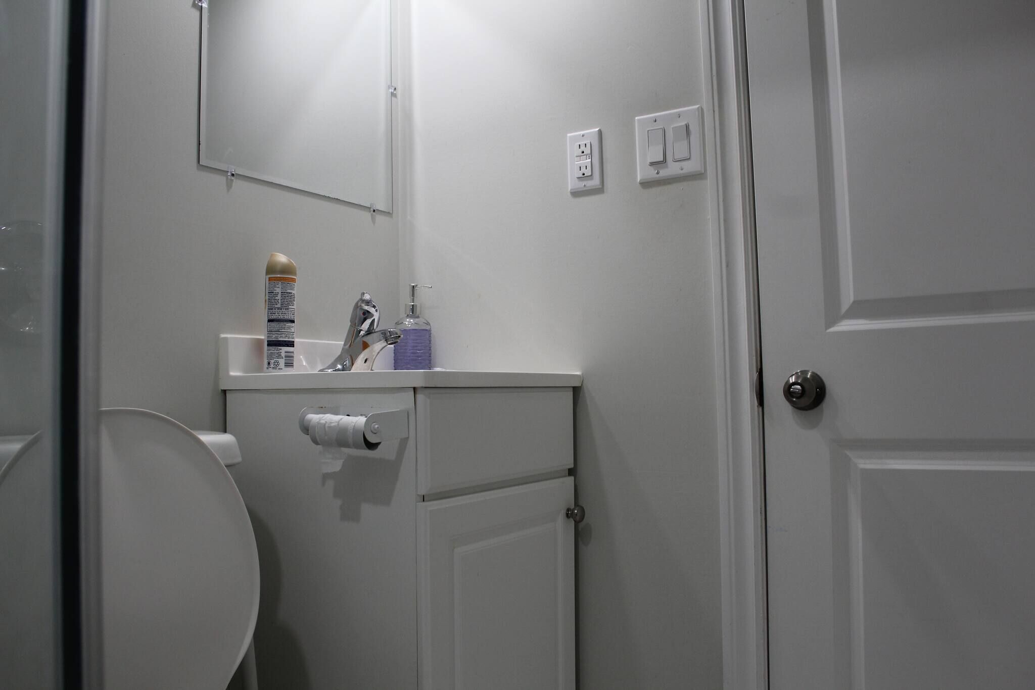 Une salle de bain comprenant des toilettes, un miroir, un lavabo avec un distributeur de savon et un rouleau de papier toilette.