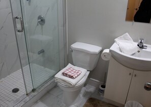 House, 2 Bedrooms | Bathroom - Cozy 2-bedroom House Rental in Brampton's Mount Pleasant (Brampton)